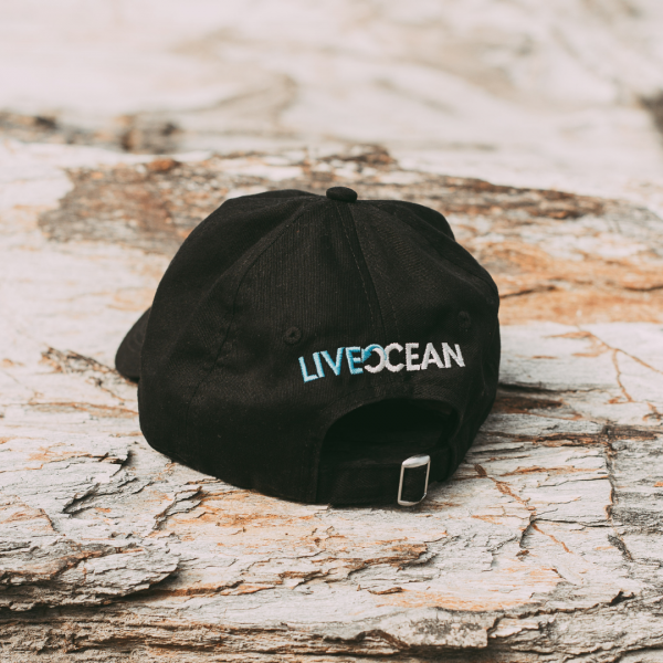 Live Ocean Cap