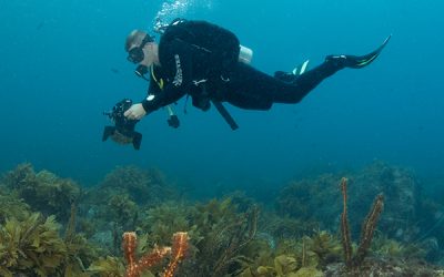 Seascape photogrammetry valuable tool for monitoring rocky reef ecosystems